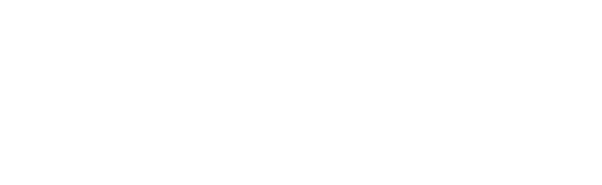 Audere_Logo_White_RGB_TM